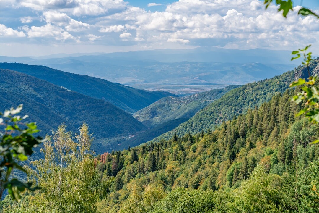 Bulgarian nature scene